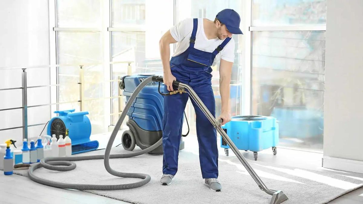 How to Choose the Best Carpet Cleaner to Enhance Your Flooring Aesthetics